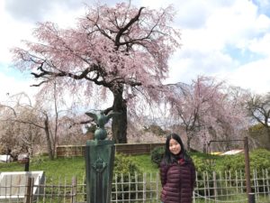 Maruyama Park
