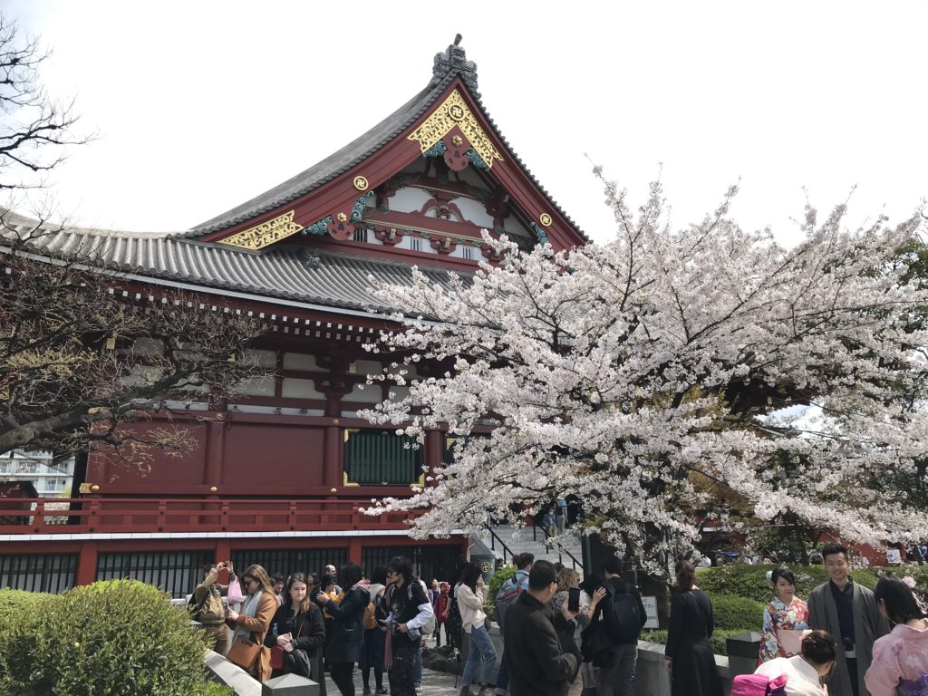 Sensoji Temple