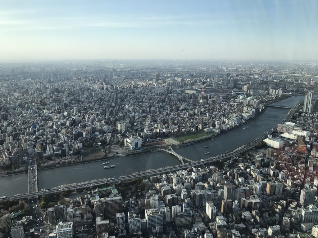 Tokyo birdview