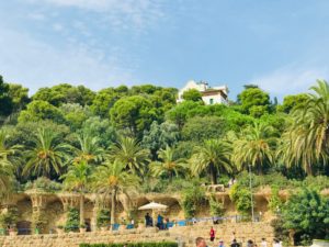 Park Güell Bird Nests