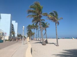 Hollywood Boardwalk